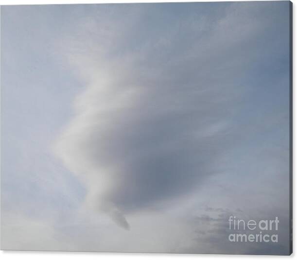 Sian Lindemann Photography Canvas Print featuring the photograph Cotton Candy IIII by Sian Lindemann