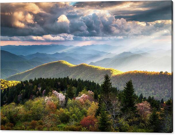 Great Smoky Mountains National Park - The Ridge by Dave Allen