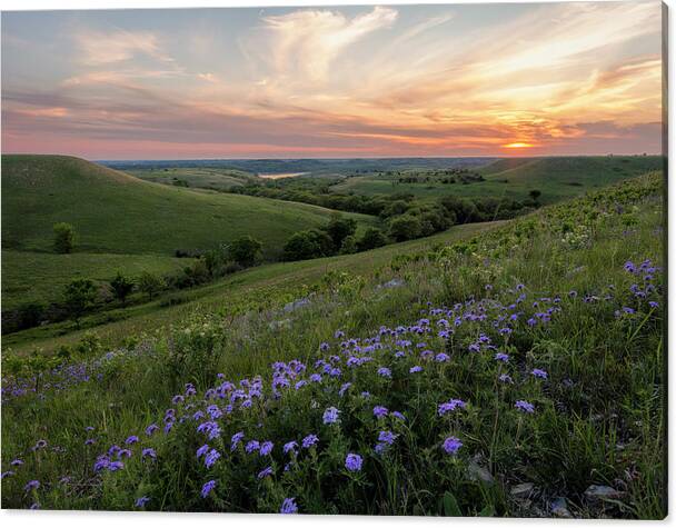 Prairie In Bloom by Scott Bean