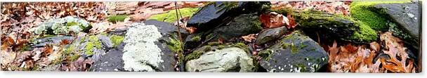 Uther Canvas Print featuring the photograph Stone Wall by Uther Pendraggin