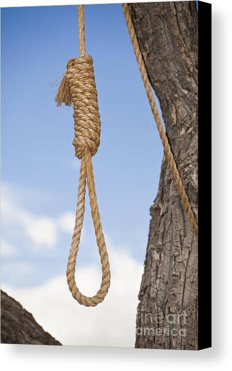 Blue Sky Canvas Print featuring the photograph Hangmans Noose in a Tree by Bryan Mullennix
