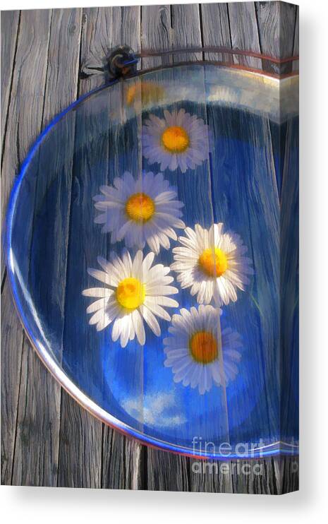 Art Canvas Print featuring the photograph Five daisies by Veikko Suikkanen