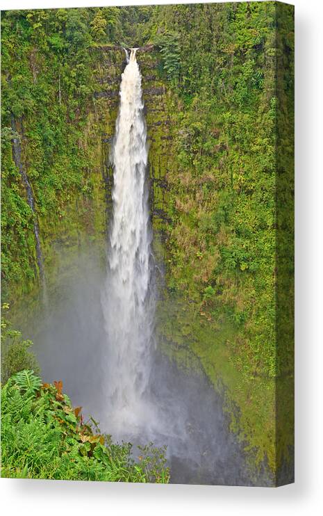 Waterfall Canvas Print featuring the photograph Akaka Falls Big Island Hawaii #1 by Marek Poplawski