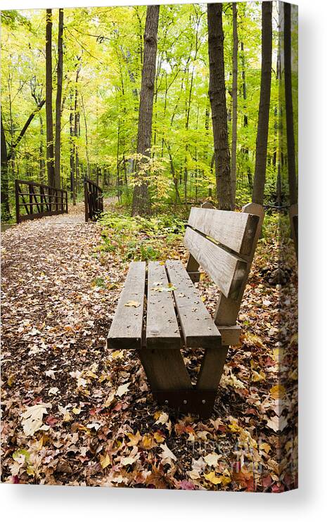 Bench Canvas Print featuring the photograph Autumn Respite #1 by Patty Colabuono