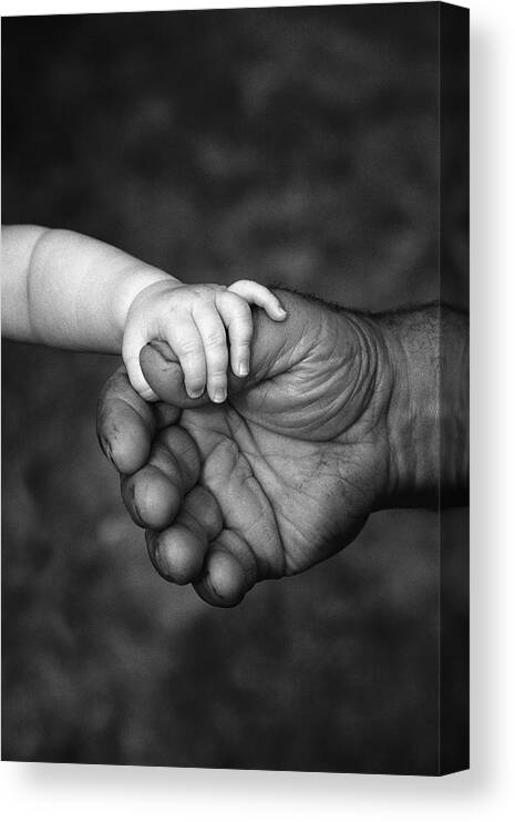 Weak And Strong Canvas Print featuring the photograph Babys Hand Holding On To Adult Hand #1 by Corey Hochachka