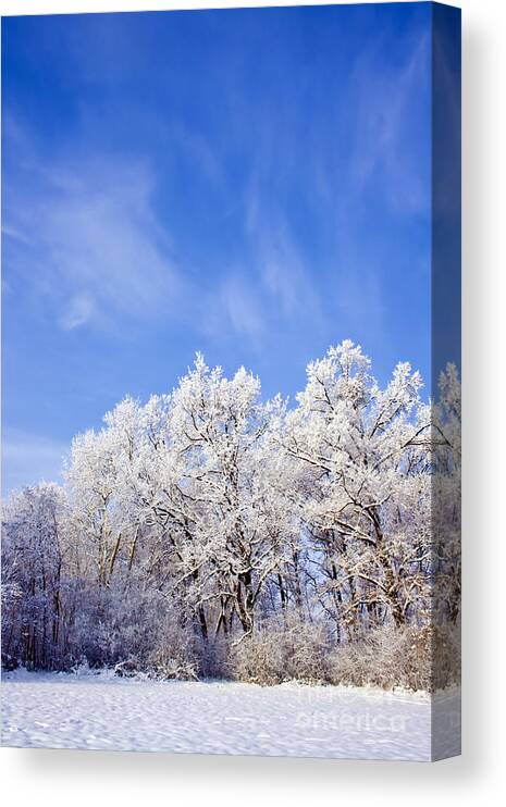 Abstract Canvas Print featuring the photograph Beautiful Winter Landscape #1 by Dan Radi