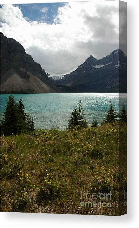 Bow Lake Canvas Print featuring the photograph 814A Bow Lake Alberta by NightVisions