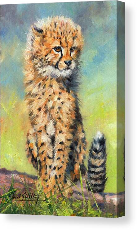 Cheetah Canvas Print featuring the painting Cheetah Cub #1 by David Stribbling