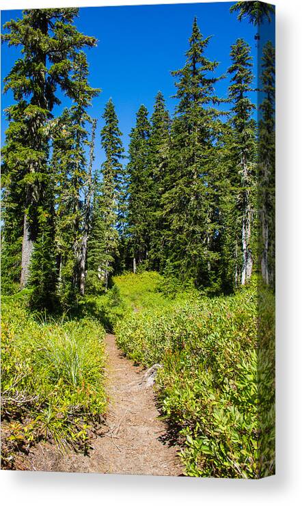Junction Lake Canvas Print featuring the photograph Clear blue skies #1 by Kunal Mehra