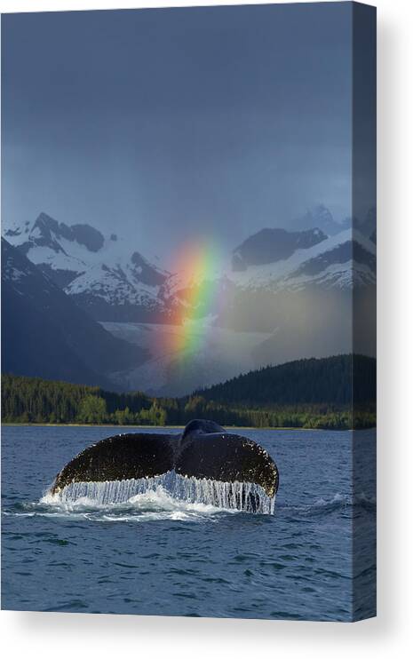 Colorful Canvas Print featuring the photograph Composite Bright Rainbow Appears Over #1 by John Hyde