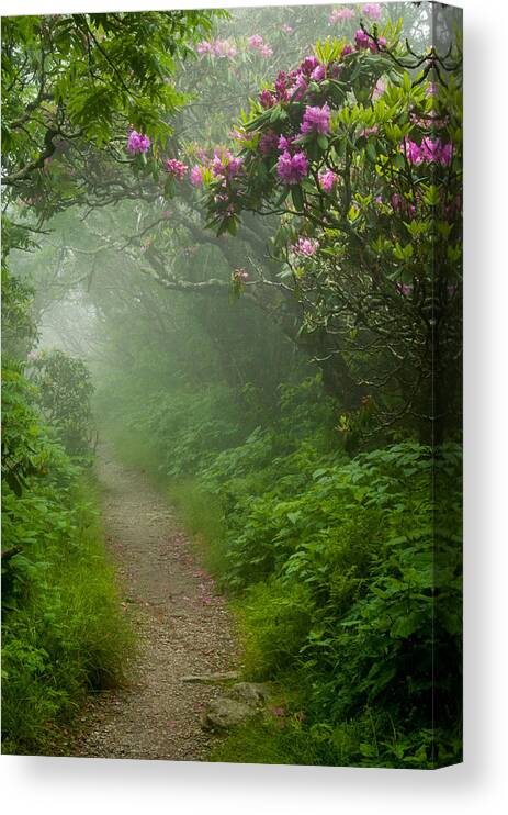 Great Smoky Mountains Canvas Print featuring the photograph Craggy Path 2 #2 by Joye Ardyn Durham
