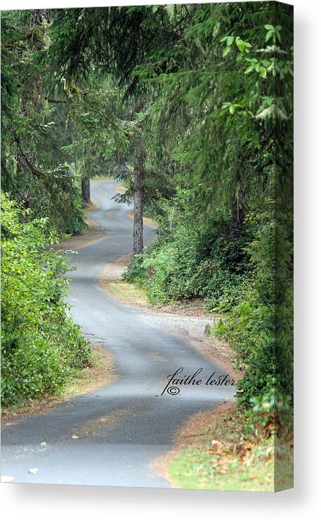 Trees Canvas Print featuring the photograph Curves into Leadbetter Point State Park II #1 by E Faithe Lester