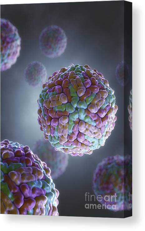 3d Visualisation Canvas Print featuring the photograph Dengue Virus #1 by Science Picture Co