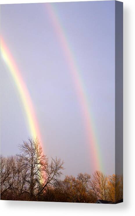 Rainbow Canvas Print featuring the photograph Double Rainbow #1 by Courtney Webster