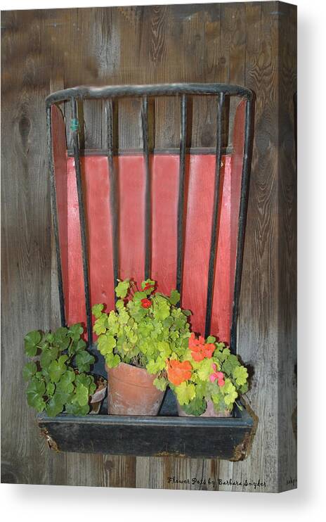 Flower Pots Canvas Print featuring the photograph Flower Pots #1 by Barbara Snyder