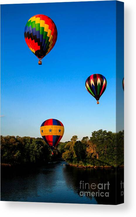Balloons Canvas Print featuring the photograph Follow the Leader #1 by Brenda Giasson