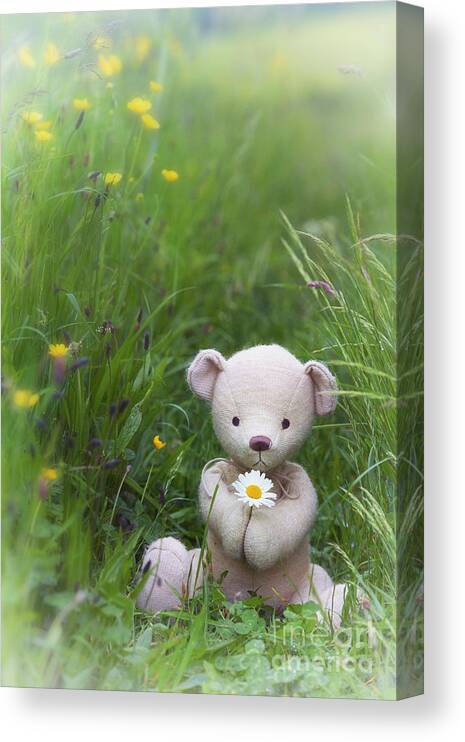 Teddy Bear Canvas Print featuring the photograph Giving #1 by Tim Gainey