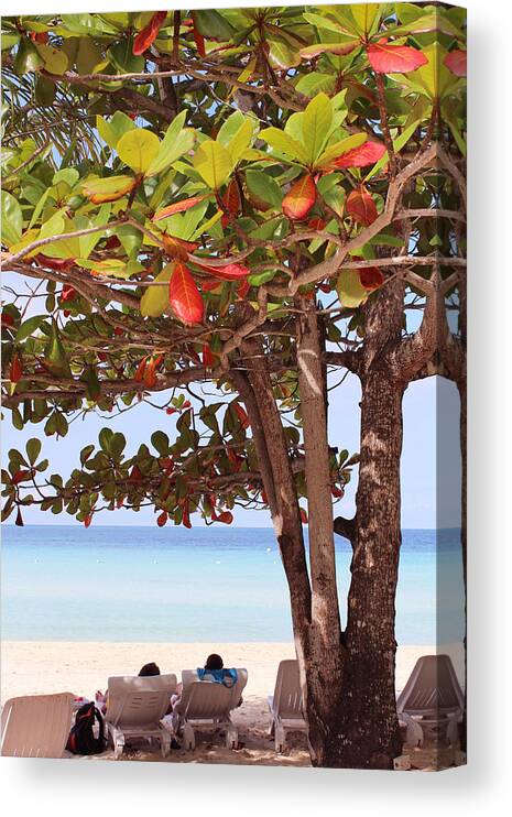 Tree Canvas Print featuring the photograph Jamaican Day #1 by Samantha Delory