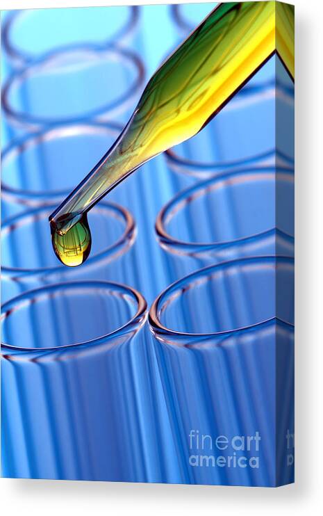 Blue Canvas Print featuring the photograph Laboratory Test Tubes in Science Research Lab #1 by Olivier Le Queinec