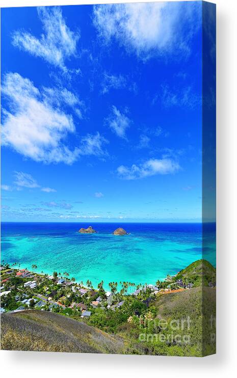 Lanikai Beach Canvas Print featuring the photograph Lanikai Beach From the Pillbox Trail #1 by Aloha Art