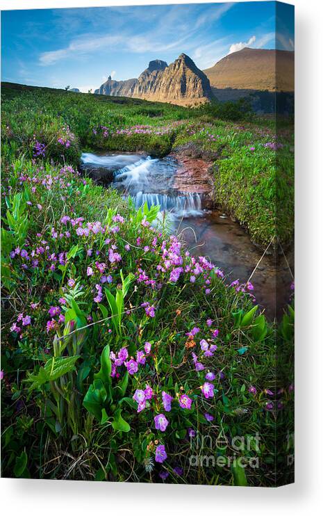 America Canvas Print featuring the photograph Logan Pass Creek #1 by Inge Johnsson