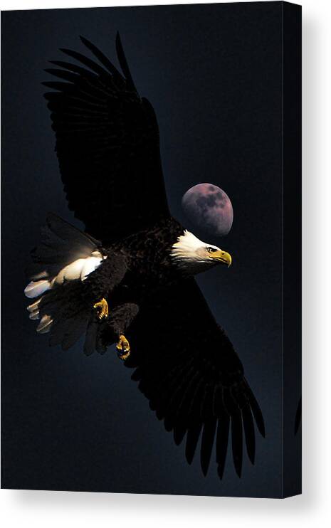 Eagle Canvas Print featuring the photograph Night Moves #2 by John Freidenberg