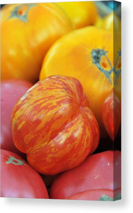 Cultivar Canvas Print featuring the photograph Organic Heirloom Tomatoes #1 by Bonnie Sue Rauch