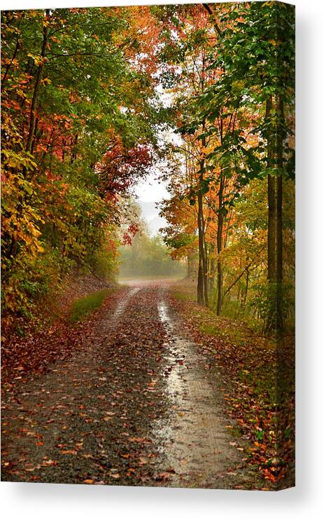 Fall Canvas Print featuring the photograph Rainy Days #2 by Lisa Lambert-Shank
