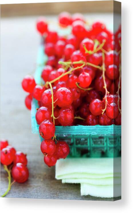 Red Currant Canvas Print featuring the photograph Red Currants #1 by Nicolesy