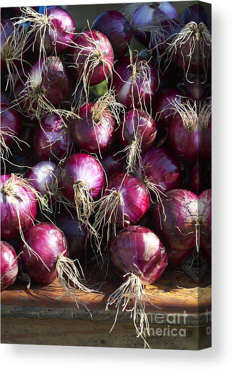 Red Canvas Print featuring the photograph Red Onions #1 by Tony Cordoza