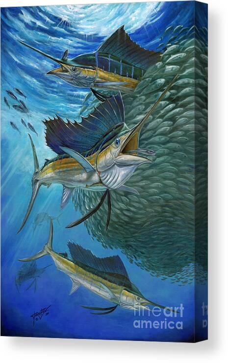 Sailfish Canvas Print featuring the painting Sailfish With A Ball Of Bait by Terry Fox