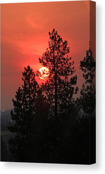 Sunrise Canvas Print featuring the photograph Smokey Sunrise by E Faithe Lester