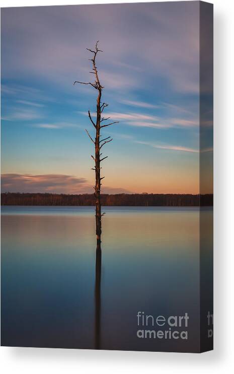 Standing Alone Canvas Print featuring the photograph Standing Alone #1 by Michael Ver Sprill