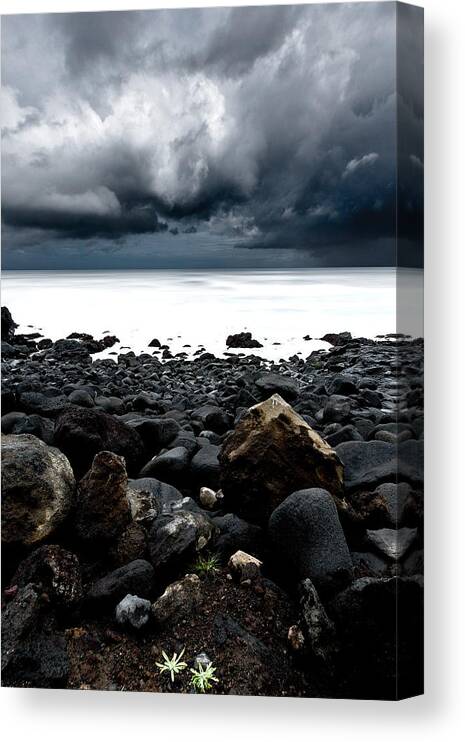 Raw Nature Canvas Print featuring the photograph The storm #2 by Jorge Maia