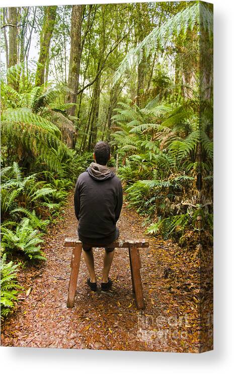 Nature Canvas Print featuring the photograph Travel man sitting in a green lush fern forest #1 by Jorgo Photography
