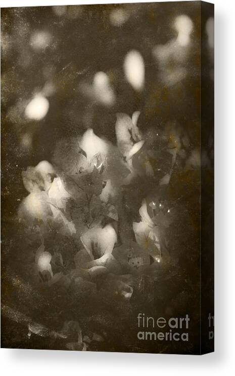 Closeup Canvas Print featuring the photograph Vintage Floral Background #1 by Jorgo Photography