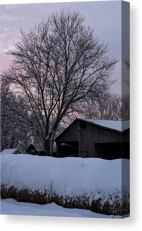 Snow Canvas Print featuring the photograph Winter Snow by Holden The Moment