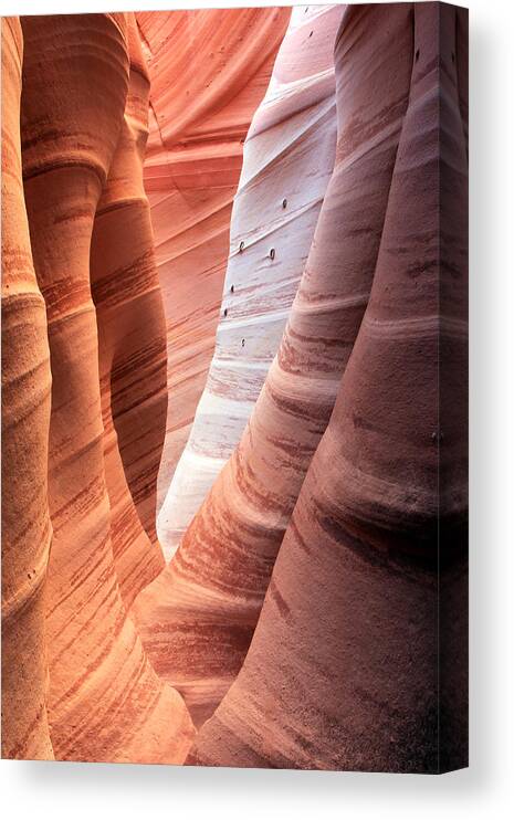Zebra Canyon Canvas Print featuring the photograph Zebra Canyon #1 by Wasatch Light