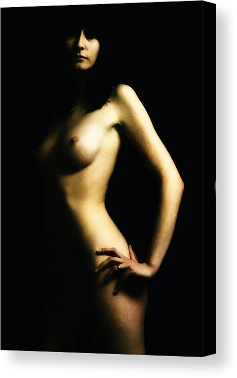 Akt Canvas Print featuring the photograph Nude #12 by Falko Follert