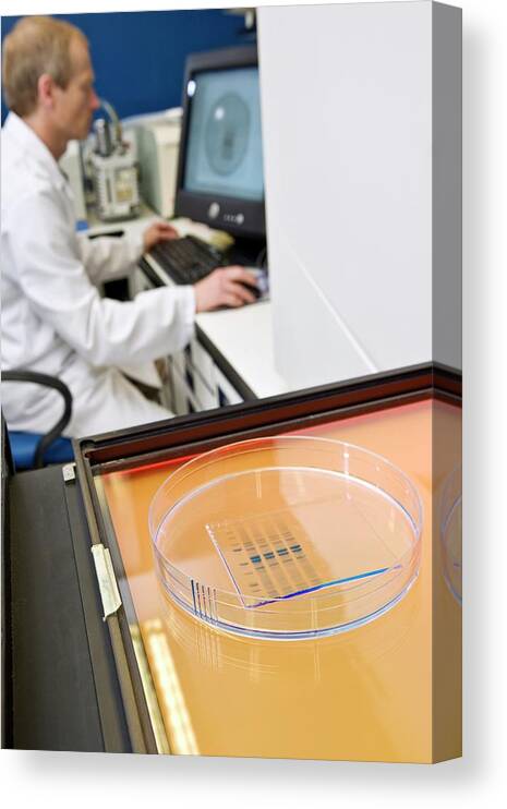Pro Xpress 2d Canvas Print featuring the photograph Protein Analysis #17 by Gustoimages/science Photo Library