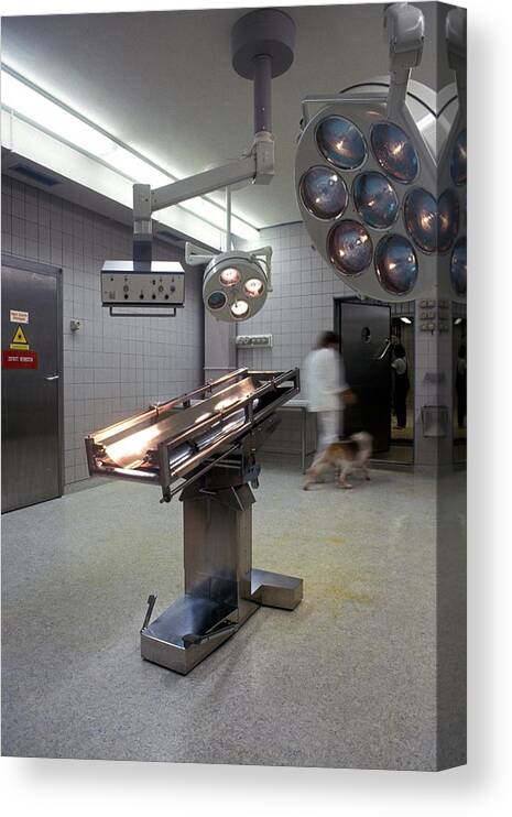 Animal Canvas Print featuring the photograph Animal Research Laboratory #2 by Patrick Landmann/science Photo Library