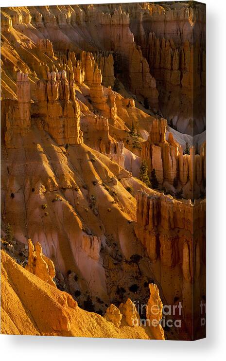 Bryce Canyon Canvas Print featuring the photograph First Light #2 by Timothy Johnson