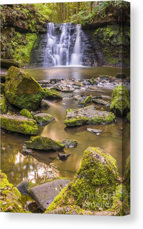 Airedale Canvas Print featuring the photograph Goit Stock Waterfall #2 by Mariusz Talarek