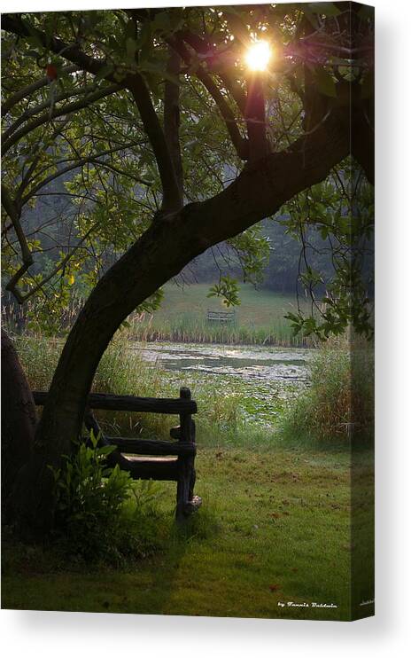 Landscape Canvas Print featuring the photograph Peaceful moment by Tannis Baldwin
