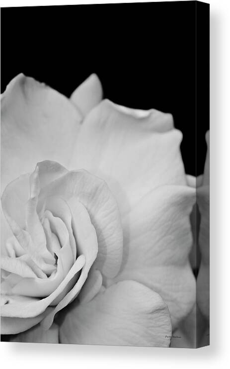 Black And White Art Canvas Print featuring the photograph Black and White Flower by Crystal Wightman