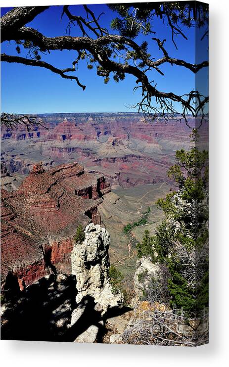 Lipan Point Canvas Print featuring the photograph South Rim of the Grand Canyon #2 by Thomas R Fletcher
