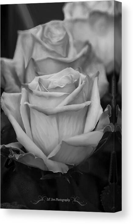 Rose Canvas Print featuring the photograph Tea Roses In Black and White #2 by Jeanette C Landstrom