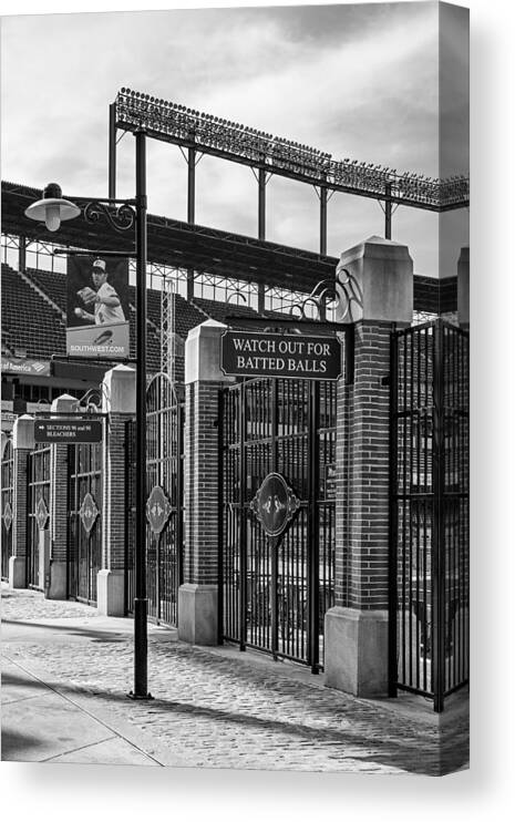 Baltimore Canvas Print featuring the photograph Watch Out For Batted Balls by Susan Candelario