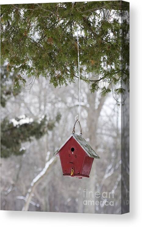 Birdhouse Canvas Print featuring the photograph Winter Shelter #2 by Patty Colabuono