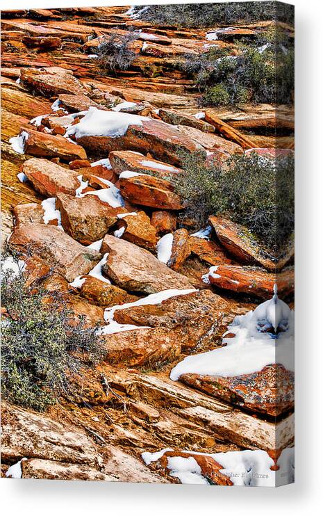 Rocks Canvas Print featuring the photograph 20100101-dsc05464 by Christopher Holmes